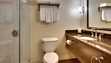 hotel bathroom with vanity, shower, toilet