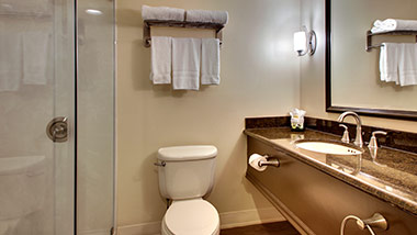 hotel bathroom with shower, vanity, toilet